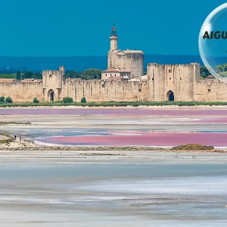 Le Cosy Du Gal, A 2 Pas Du Palais Des Papes Parking Gratuit Securise Apartment Avignon Exterior photo