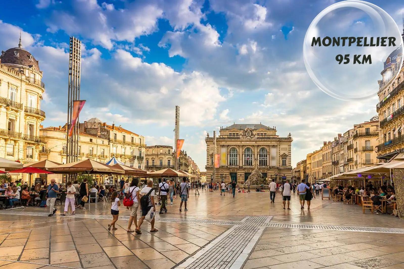 Le Cosy Du Gal, A 2 Pas Du Palais Des Papes Parking Gratuit Securise Appartement