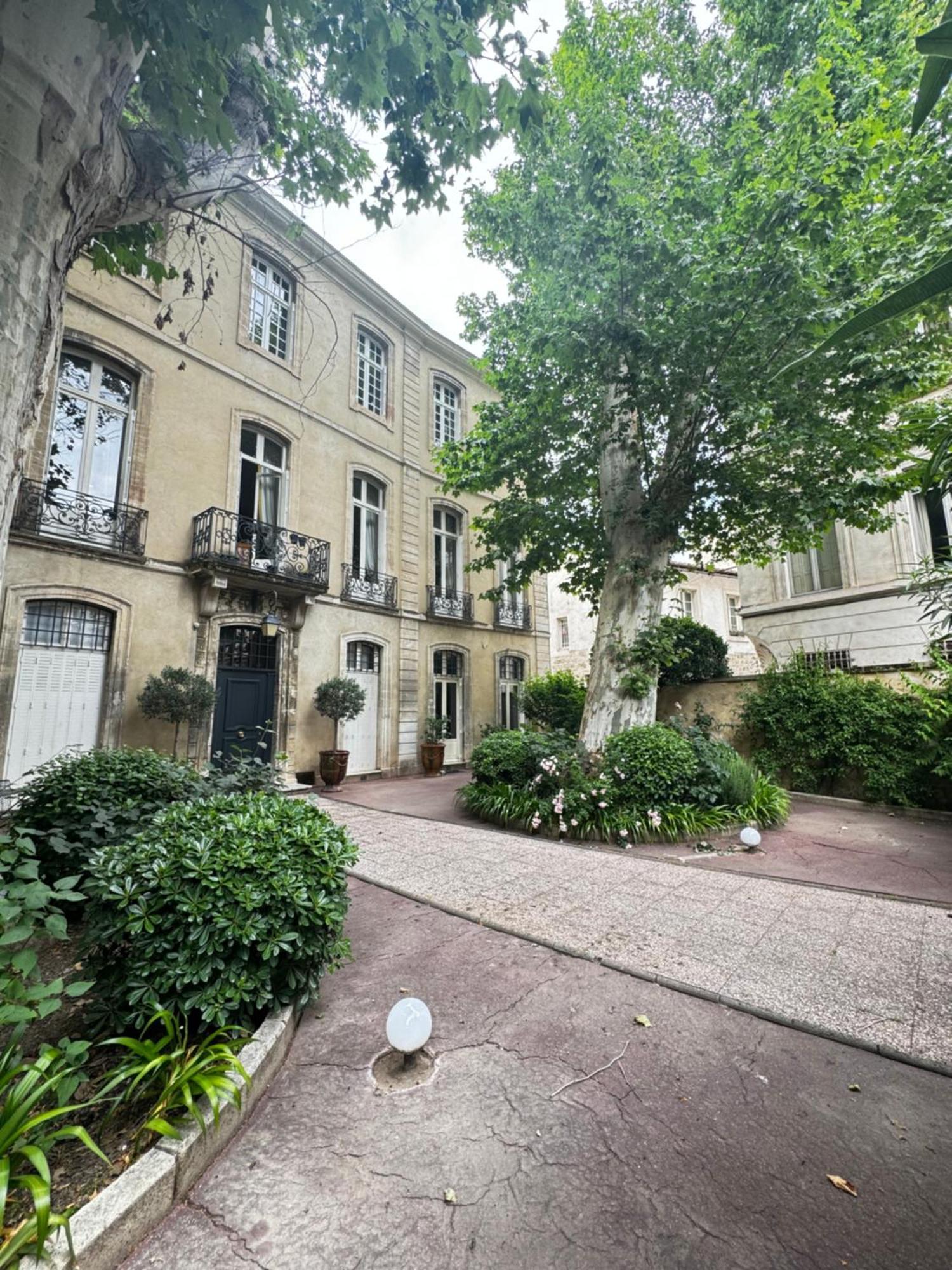 Le Cosy Du Gal, A 2 Pas Du Palais Des Papes Parking Gratuit Securise Avignon