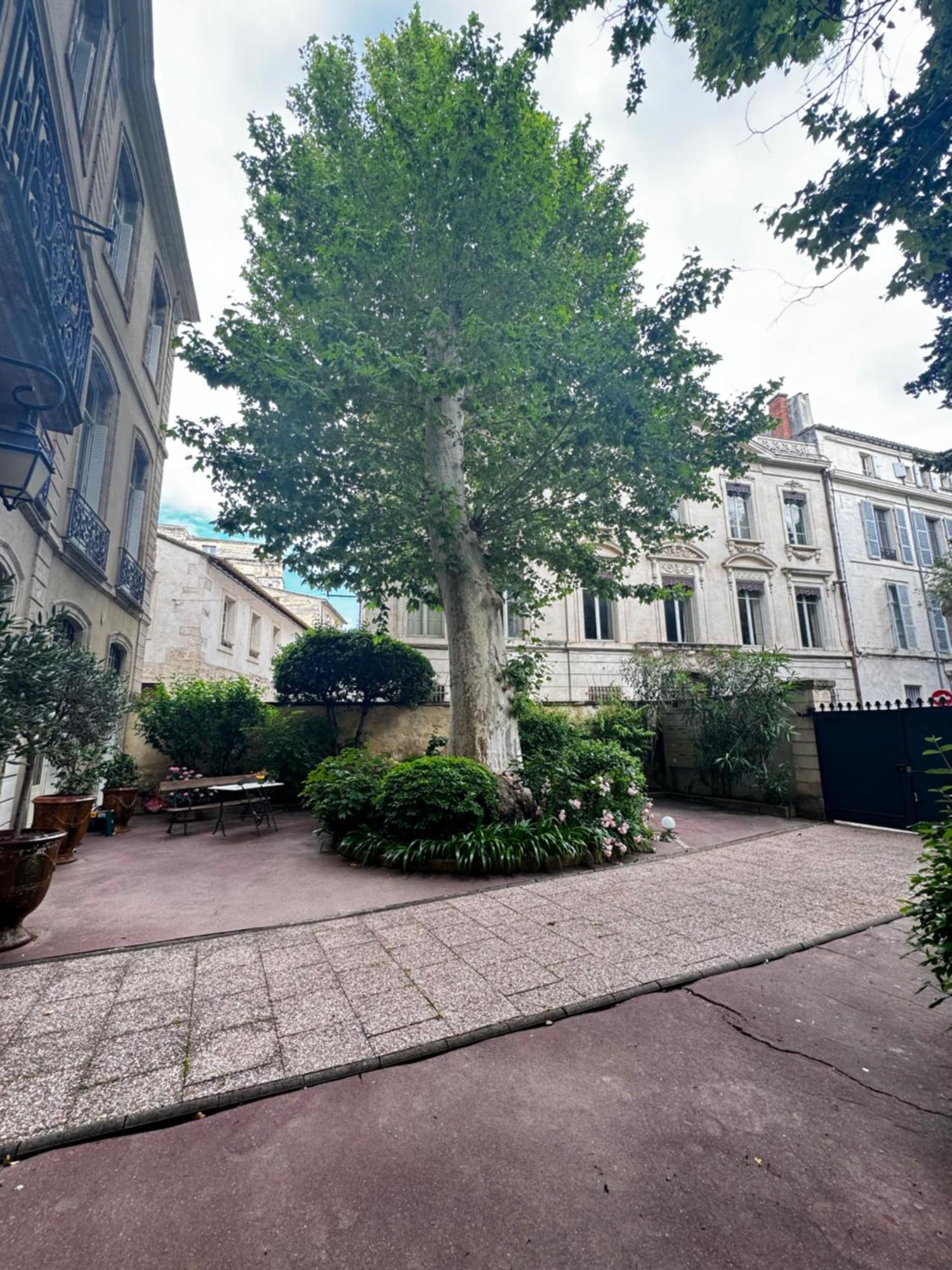 Appartement Le Cosy Du Gal, A 2 Pas Du Palais Des Papes Parking Gratuit Securise *